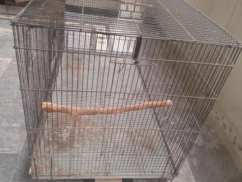 BREEDING CAGES — photo 5