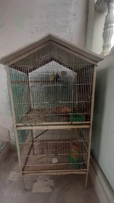 master cages for sale