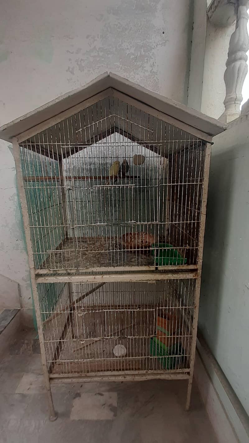 master cages for sale 0