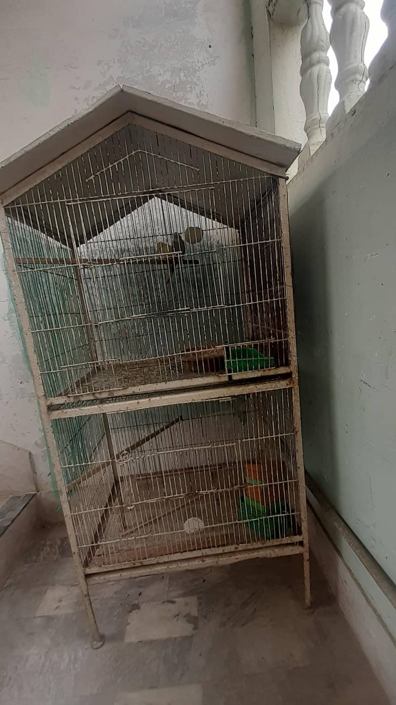 master cages for sale 1