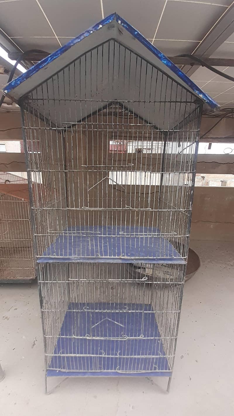 master cages for sale 2