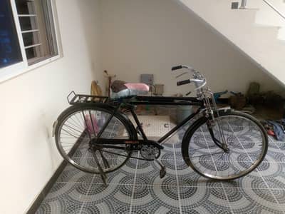 suraf cycle big size for sale