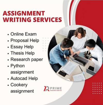 Professional Content & Assignment Writing Services Available