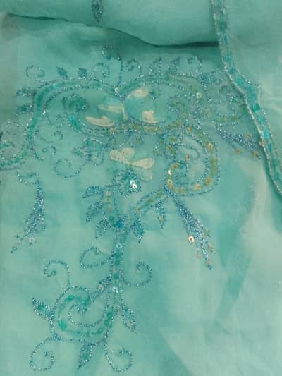 Beautiful Ferozi Saree with Blouse - Used Once
