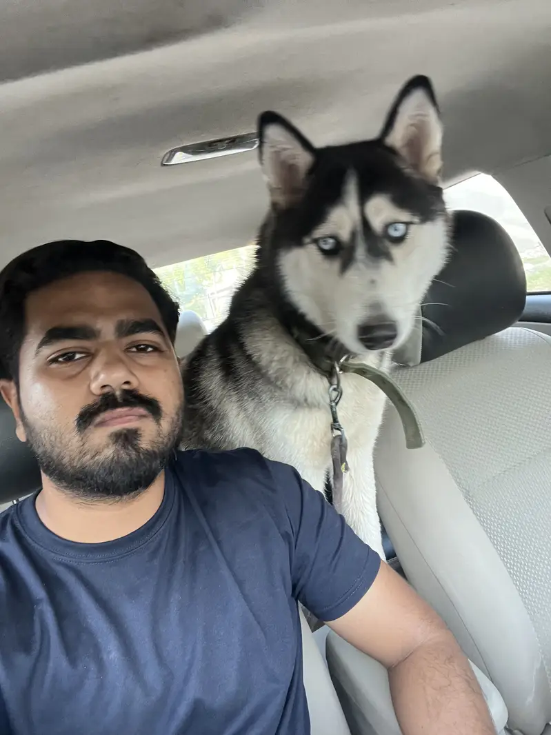 Pure Siberian Husky Female For Sale — photo 6