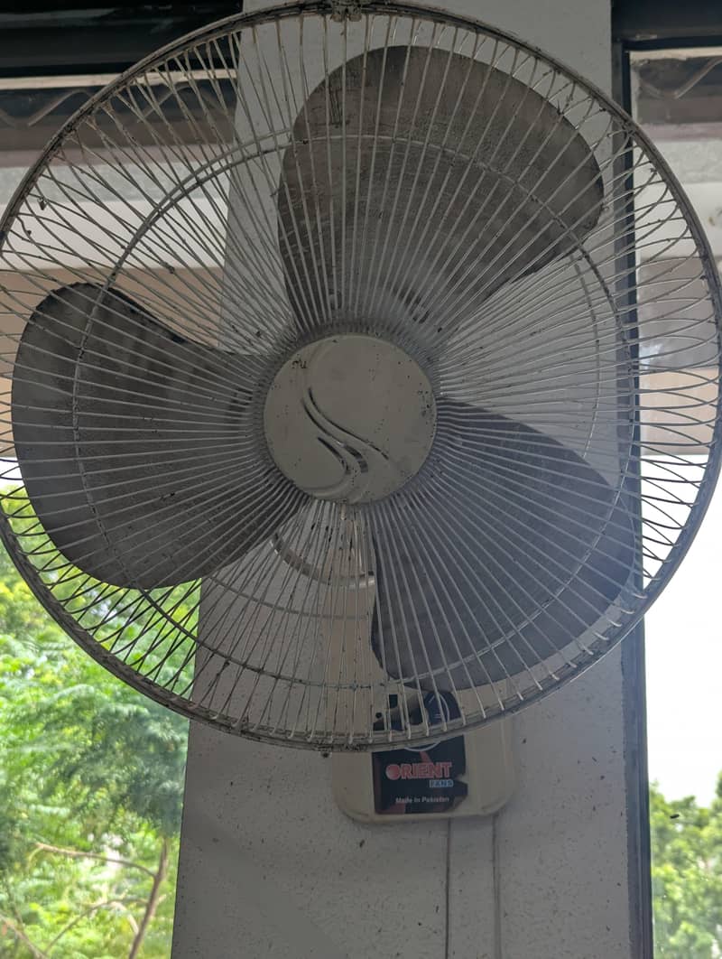 Orient Bracket fan 1