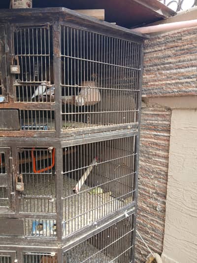 cage heavy
