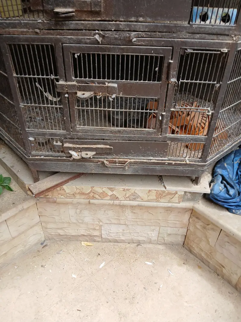 cage heavy — photo 3
