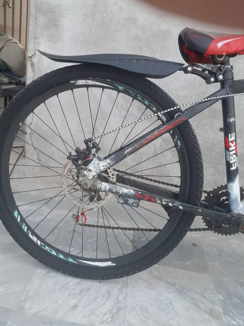 Frike cycle 2