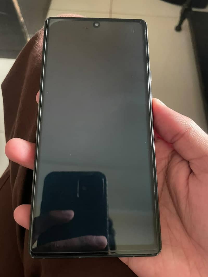 Google Pixel 6 Panel Change 0