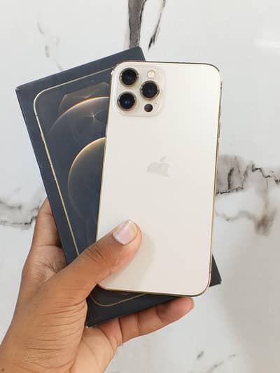 Apple iPhone 12 Pro Max
