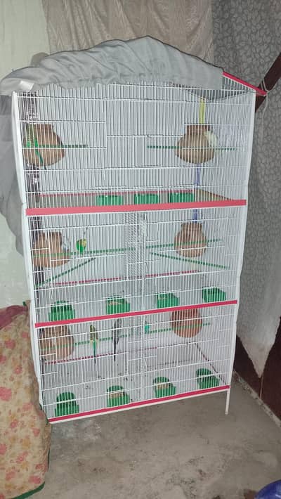 bahut majbut cage hai