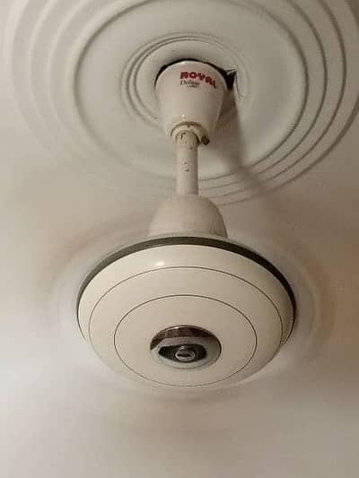 Title: 4 Ceiling Fans for Sale