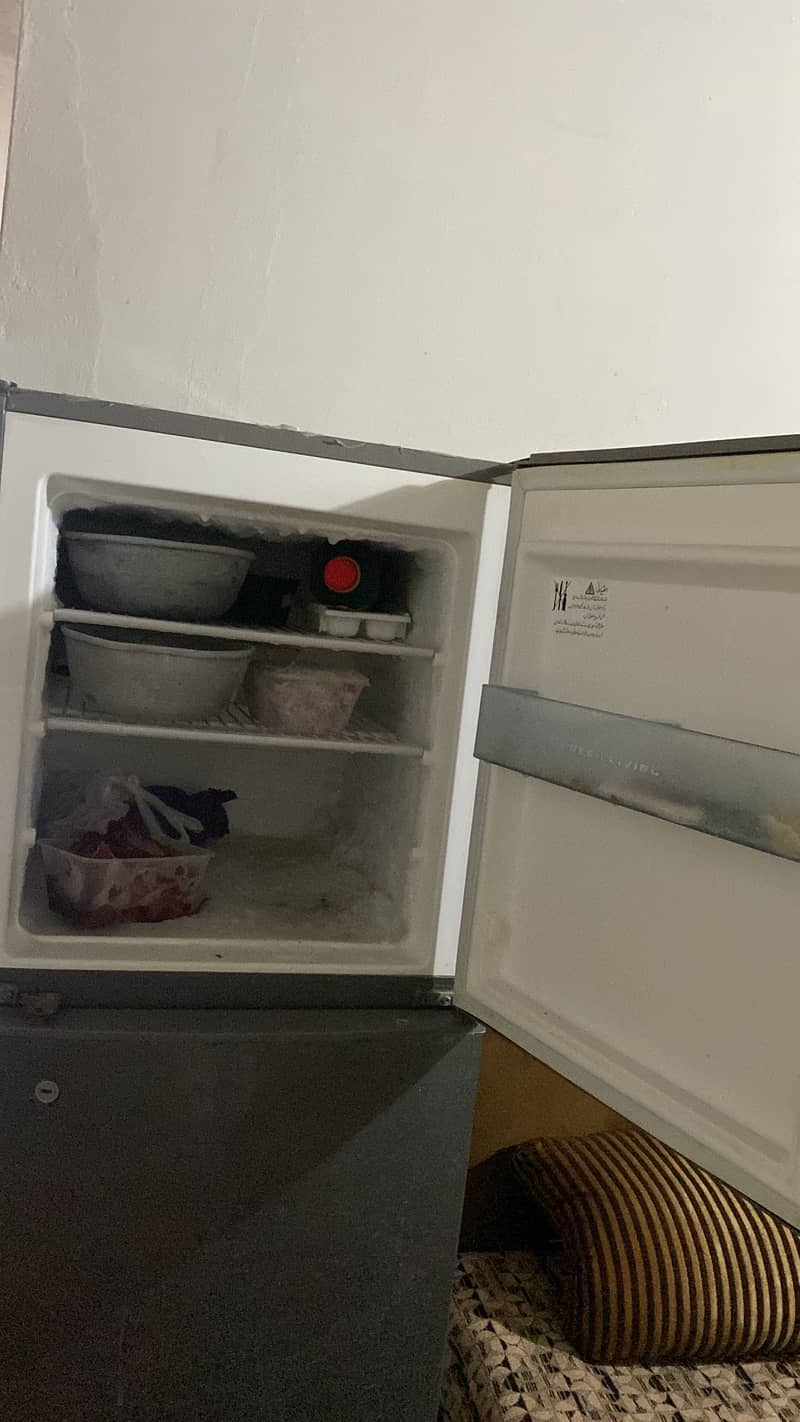 Fridge 1
