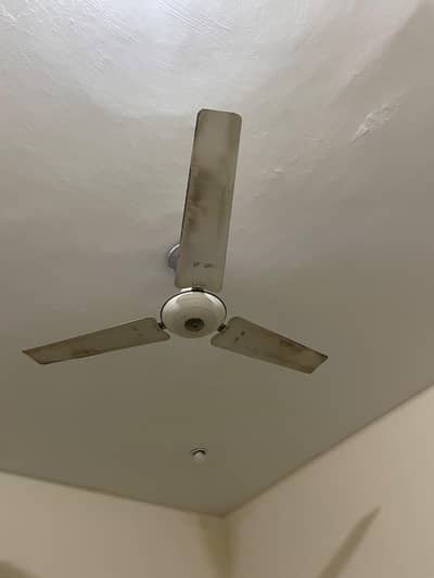 Ceiling Fans 100% copper