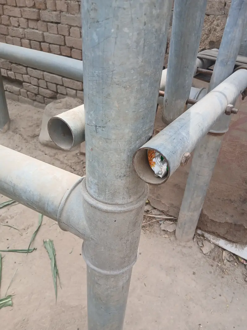 بھینس شکنجا — photo 2