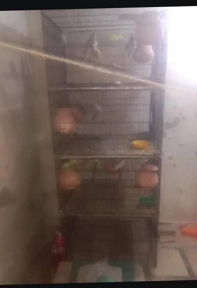 cage for sale 4 portion