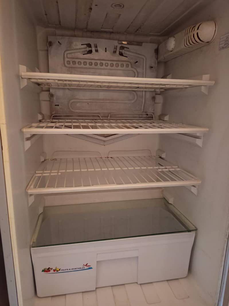 fridge 1