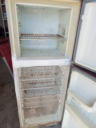 Frij for sale oriend