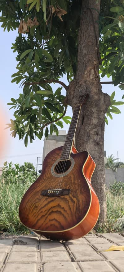 Professional Guitar For Sale In Multan