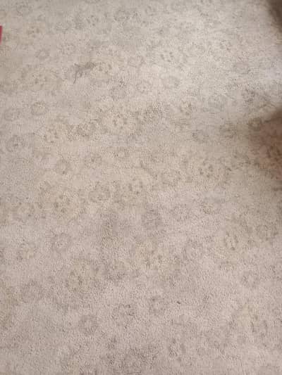 carpet&raag