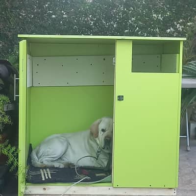 Brand New Premium Dog House|Ideal for Puppies & Large Dogs|Hardly Used