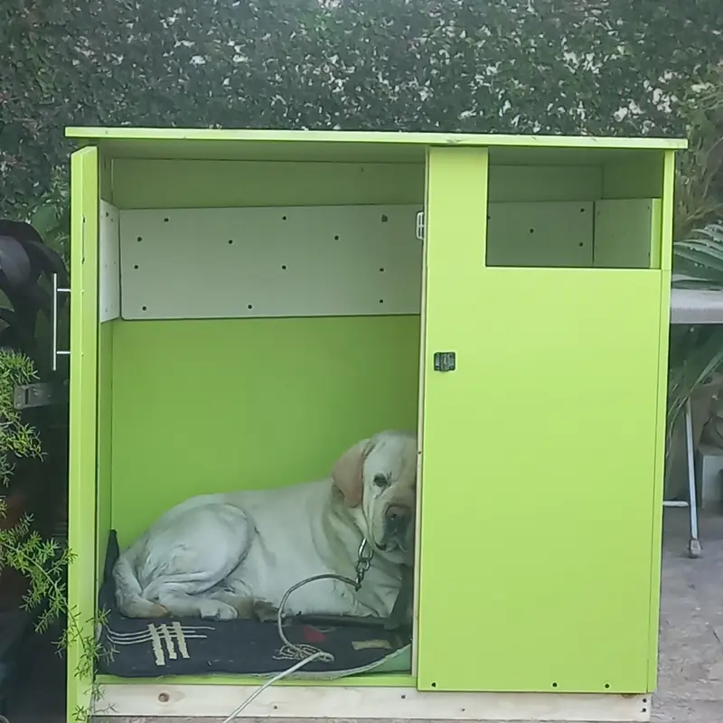 Brand New Premium Dog House|Ideal for Puppies & Large Dogs|Hardly Used — photo 2
