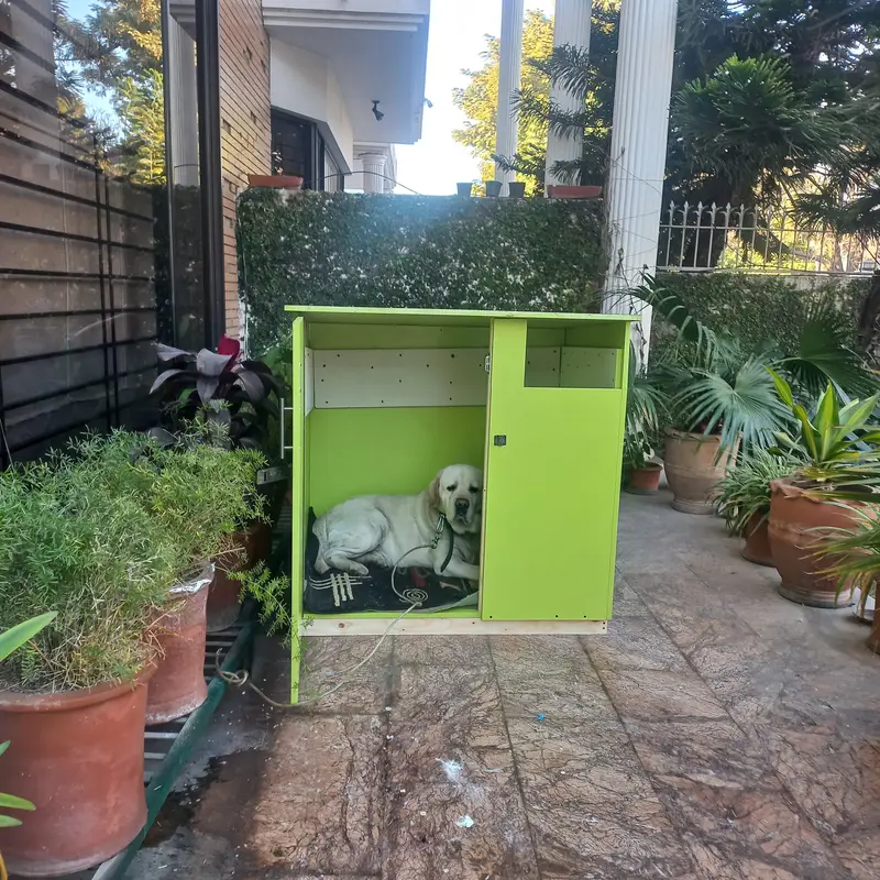 Brand New Premium Dog House|Ideal for Puppies & Large Dogs|Hardly Used — photo 4