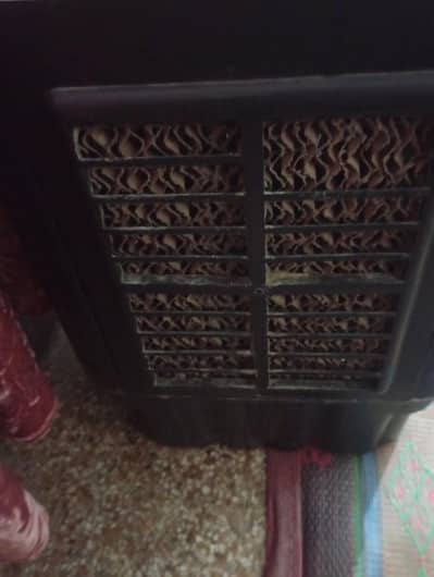 mini solar cooler