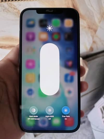 Apple iPhone 12 Pro Max