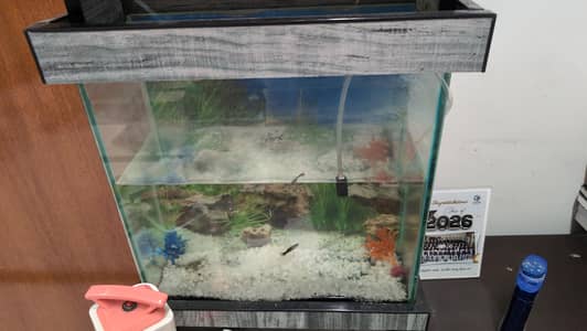 Aquarium for sale