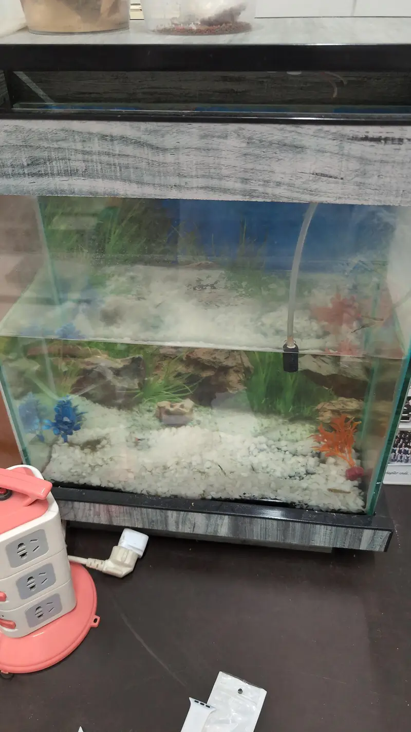 Aquarium for sale — photo 2
