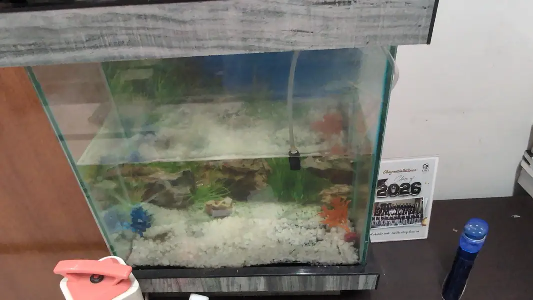 Aquarium for sale — photo 3
