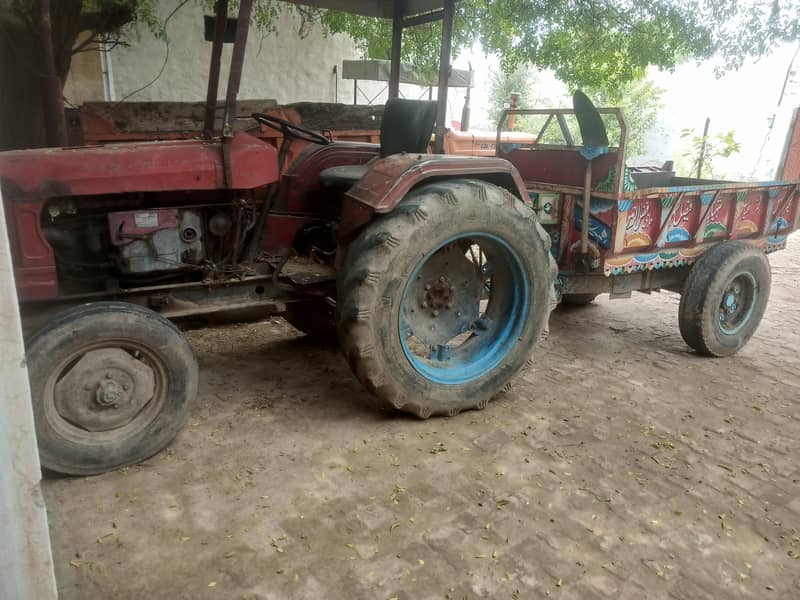 chakwal 1