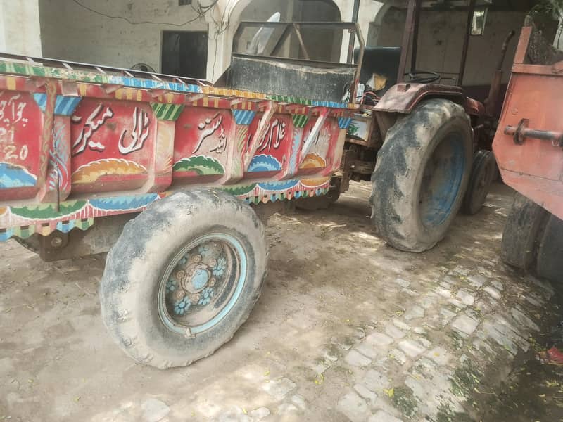 chakwal 10