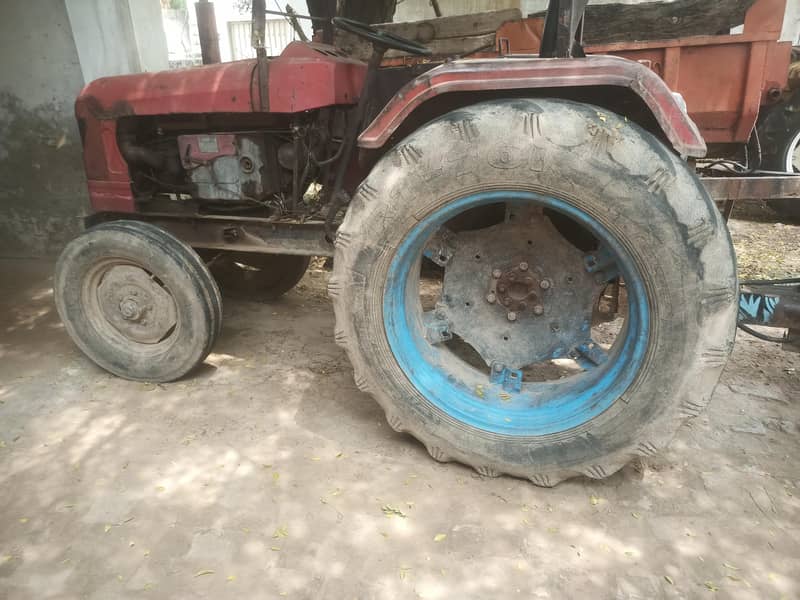 chakwal 12