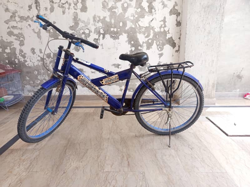 cycle 0