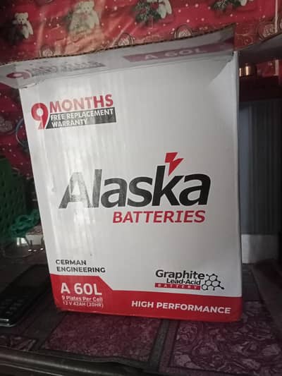 alaska new