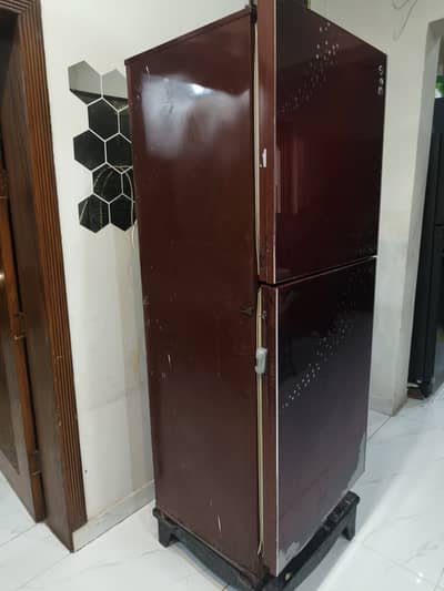 Pel fridge jumbo size