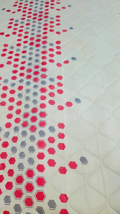 Crest Masters Molty Foam