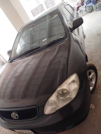 Toyota Corolla XLI