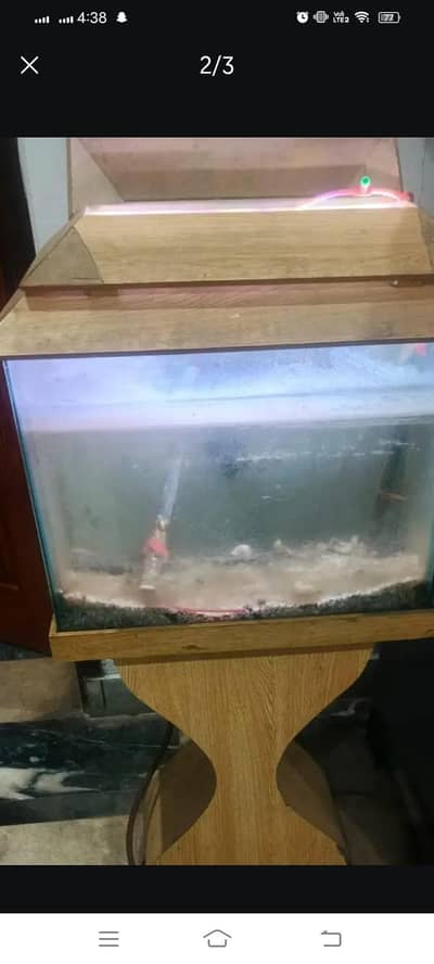 aquarium for sale