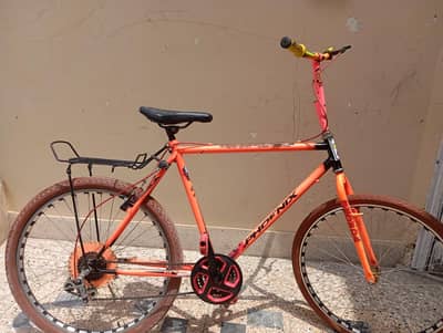phoenix 26inch cycle