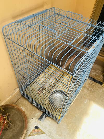 Grey parrot Cage For Sale