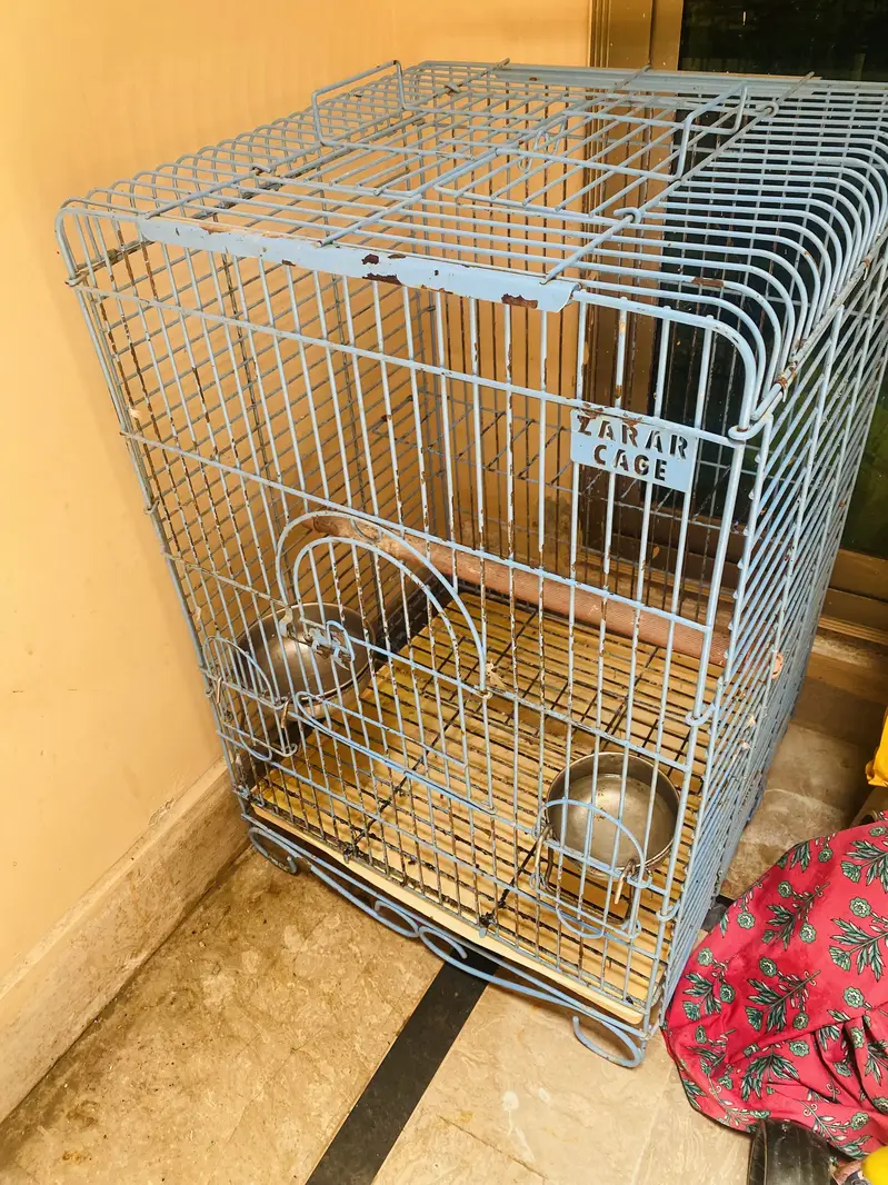 Grey parrot Cage For Sale — photo 3