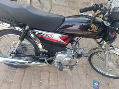 Black CD 70