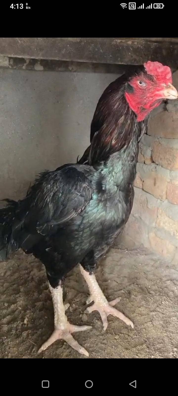 14125 0