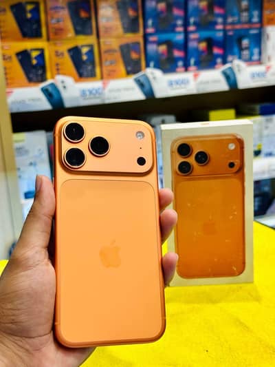 17 Pro Max 256GB