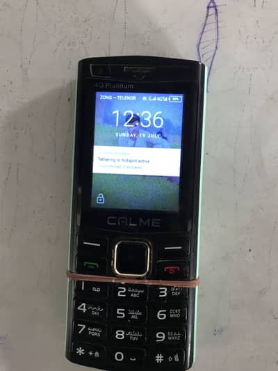 Calme 4G Platinum