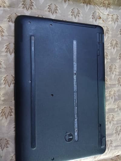 Pavilion 15